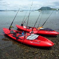 Canoe & Kayak Bay of Plenty image 3