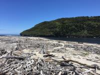 Heaphy Track Help image 1