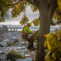 ArboristsDunedin.co.nz image 1