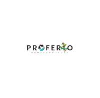 Proferlo Furniture image 1