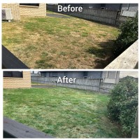 Mesh Master Lawn Mowing image 2