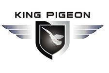 GSM Alarm System KingPigeon Hi-Tech.Co.Ltd image 1