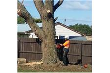 Otago Tree Care image 1