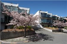 Blue Peaks Apartments Queenstown image 1