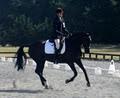 Alacrity Equestrian Centre Ltd image 1