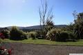 Upper Hutt Accommodation - Arorangi Country Homestay image 6