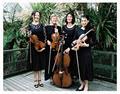 Nikau Quartet image 1