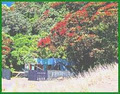 A Beach House at Piha image 3