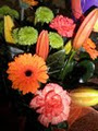 ABSOLUTE FLOWERS logo