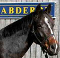 Abderry Equine Services image 3