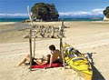 Abel Tasman Mountain Biking image 6