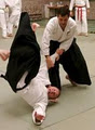 Aikido Kyu Shin Do image 2