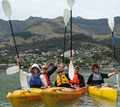 Akaroa Guided Kayak Safari image 2