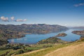 Akaroa Guided Kayak Safari image 3