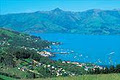 Akaroa Harbour Cruises & Boat Tours image 4