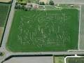 Amazing Maze & Corncob Crazy Golf image 2