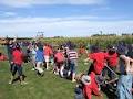 Amazing Maze & Corncob Crazy Golf image 4