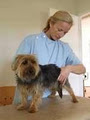 Animal Acupuncture image 1