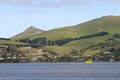 Arts Content Bed and Breakfast - Otago Peninsula - Dunedin image 5