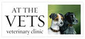 At The Vets logo