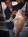 Auckland Fishing Charters and Fishing Trips - Megabites Fishing Charter Ltd image 2