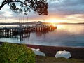 Bay of Islands Holiday Accommodation image 3