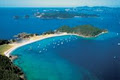 Bay of Islands Sailing - Freewind image 3