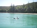 Bay of Islands Yacht Charters Ltd image 5