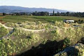 Blackenbrook Vineyard image 3