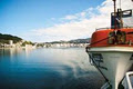 Bluebridge Cook Strait Ferry image 2