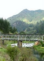 Bularangi Guided River Fly Fishing image 2