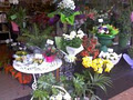 Bunts Florist logo