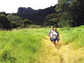 Bushmansfriend image 1