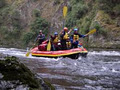 Canoe Safaris image 3