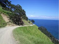 Coromandel Discovery image 2