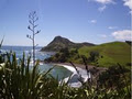 Coromandel Discovery image 6