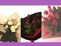 Corona Florist logo