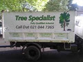 DL Tree Specialist LTD image 3