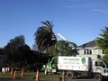 DL Tree Specialist LTD image 5