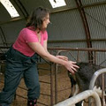 Dairy Women's Network image 4