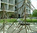 Department of Mathematics and Statistics, University of Canterbury image 3