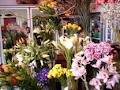 Direct2florist Dunedin image 1