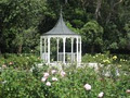 Dugald MacKenzie Rose Garden image 2