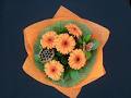 Exquisite flower arrangements for all occasions logo