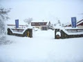 Fairlie Pinewood Motels image 1
