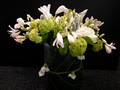 Flowers Auckland logo