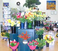 Flowers of St Johns image 1