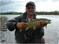 Fly Fish Mataura image 6