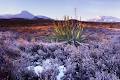 Gene Glover NZ Landscape Photography image 4