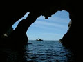 Glass Bottom Boat Whitianga Scenic Cruise image 3